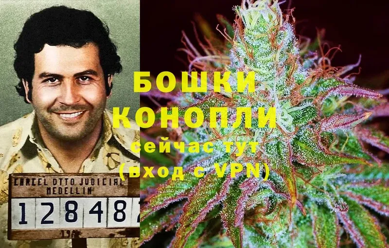 Марихуана Ganja  наркота  Балашов 